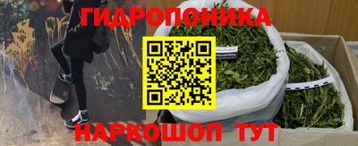 прущие крисы Лесосибирск