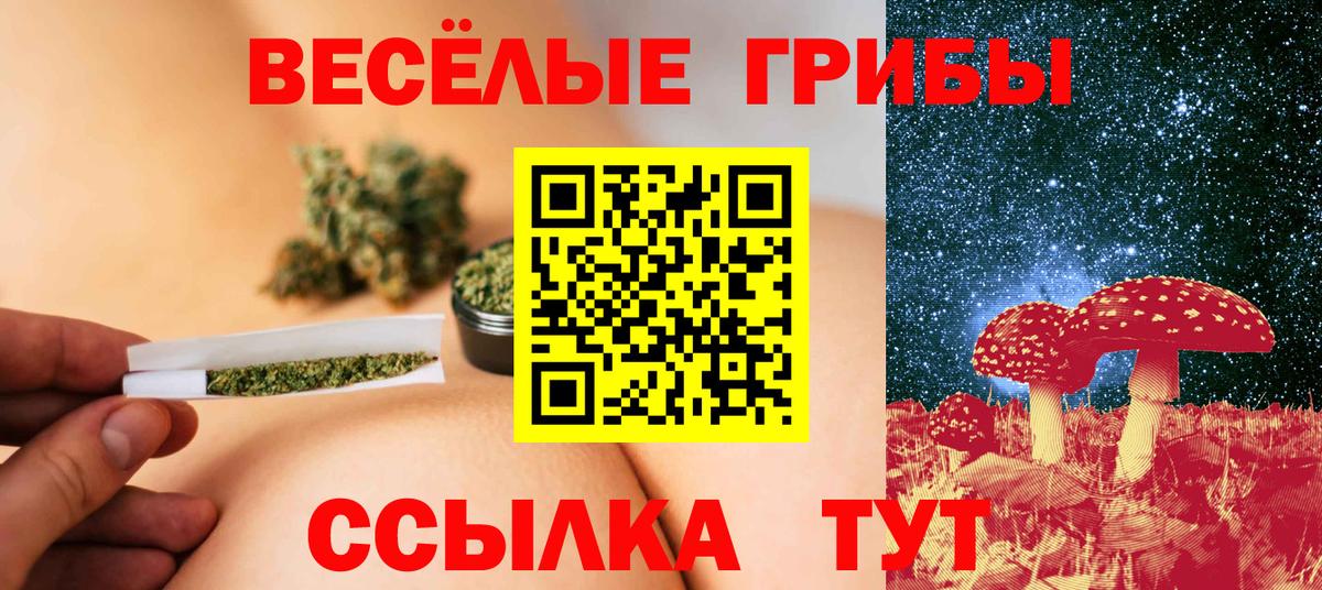 Ухта  Псилоцибиновые грибы GOLDEN TEACHER  Вход с VPN  Галлюциногенные грибы Psilocybe 
